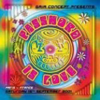 Password is love Gaïa Concept/XIII bis records 2001